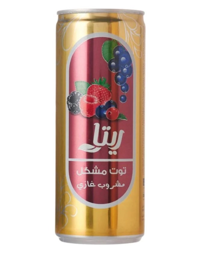 ريتا مشروب ريتا (Rita) فوار بنكهة الفواكه المشكلة - عبوة من قطعتين (240 مل للوحدة) | انتعاش طبيعي وطعم غني - Image 1