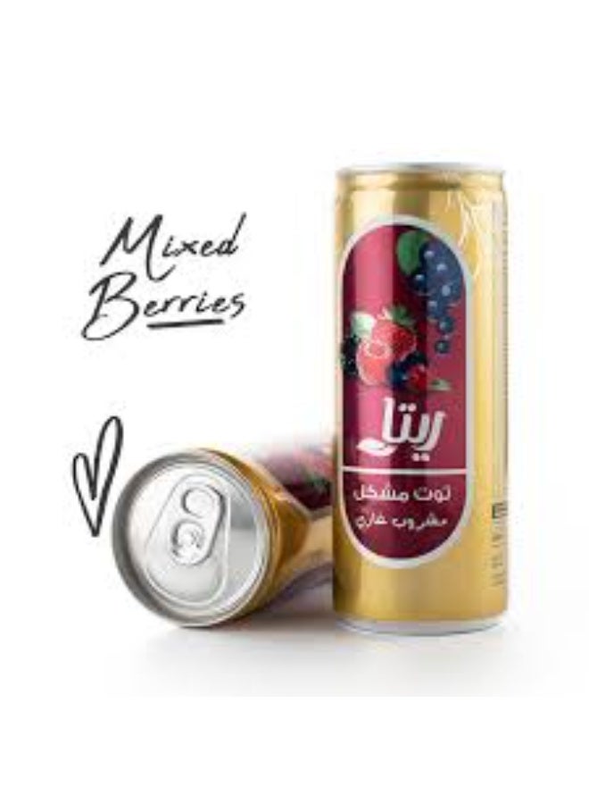 ريتا مشروب ريتا (Rita) فوار بنكهة الفواكه المشكلة - عبوة من قطعتين (240 مل للوحدة) | انتعاش طبيعي وطعم غني - Image 3