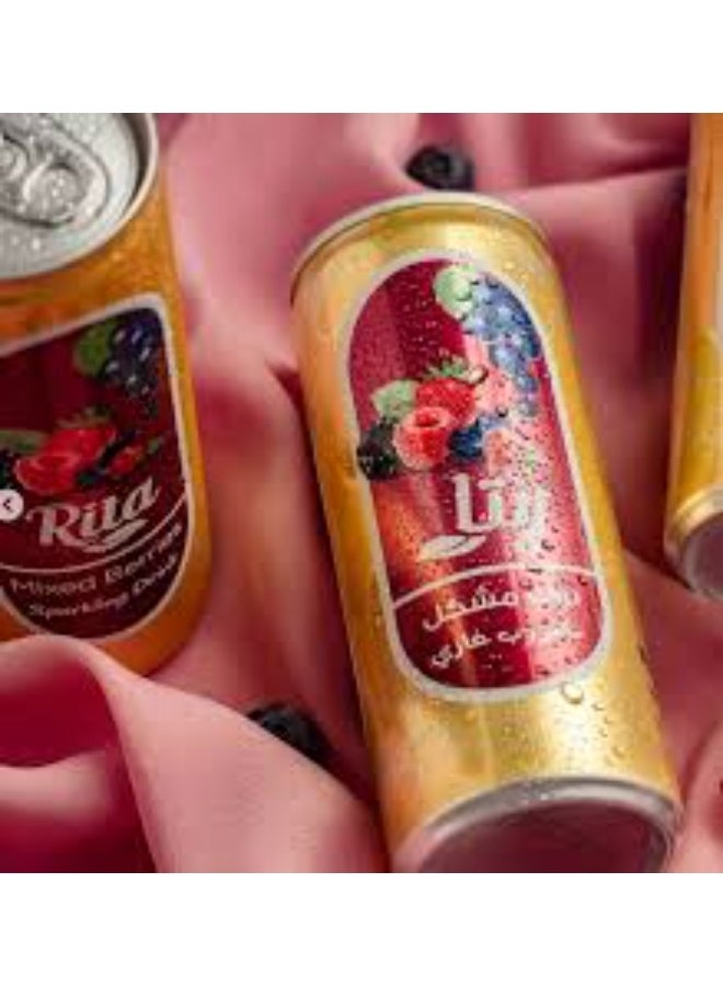 ريتا مشروب ريتا (Rita) فوار بنكهة الفواكه المشكلة - عبوة من قطعتين (240 مل للوحدة) | انتعاش طبيعي وطعم غني - Image 4