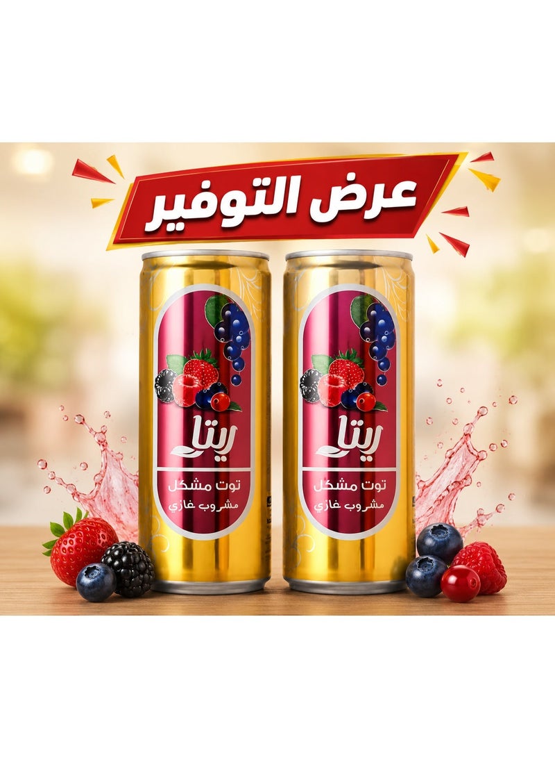 ريتا مشروب ريتا (Rita) فوار بنكهة الفواكه المشكلة - عبوة من قطعتين (240 مل للوحدة) | انتعاش طبيعي وطعم غني - Image 1