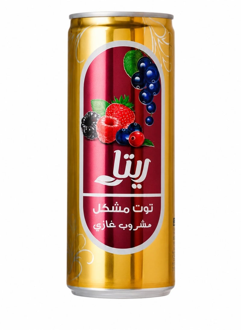 ريتا مشروب ريتا (Rita) فوار بنكهة الفواكه المشكلة - عبوة من قطعتين (240 مل للوحدة) | انتعاش طبيعي وطعم غني - Image 2