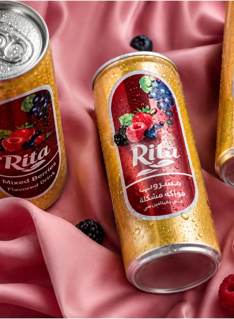 ريتا مشروب ريتا (Rita) فوار بنكهة الفواكه المشكلة - عبوة من قطعتين (240 مل للوحدة) | انتعاش طبيعي وطعم غني - Image 4