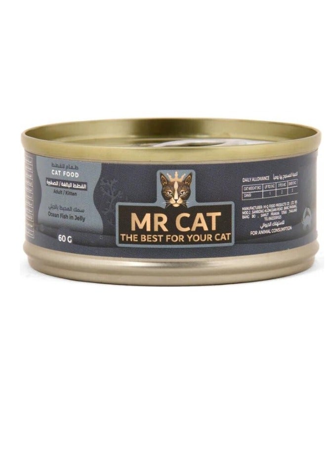 MR CAT Cat Adult And Kitten Wet Food Ocean Fish in Jelly Flavor Pack Of 6 - Image 2