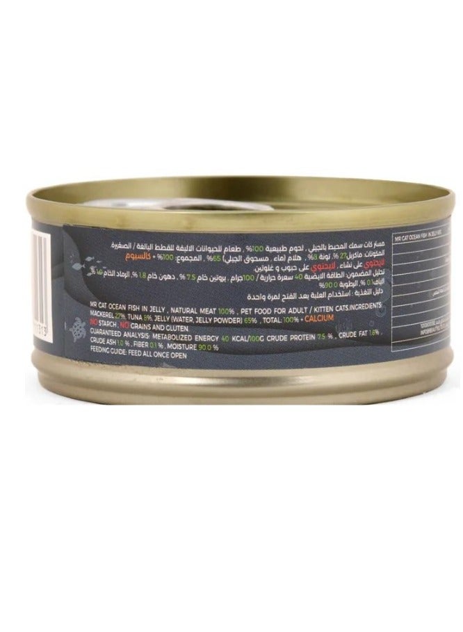 MR CAT Cat Adult And Kitten Wet Food Ocean Fish in Jelly Flavor Pack Of 6 - Image 3