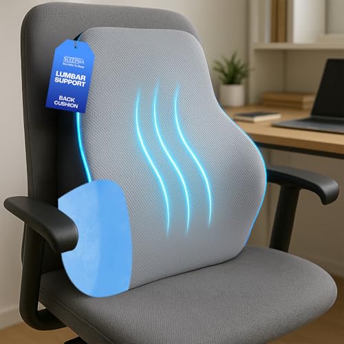Sleepsia Back Support for Office Chair with 1 Year Warranty Lumbar Support Pillow for Office Chair for Back Pain, Car Seat, Memory Foam (Grey/Black Lumbar Back Support (Gel Infused)) - Image 1