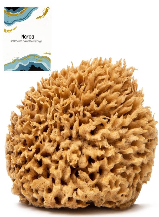 Naroa Soft Natural Sponge Large | Gentle Sea Loofah for Bathing Smooth Skin | Unbleached Shower Body Scrubber Puff | Bath & Spa (L) - Image 1