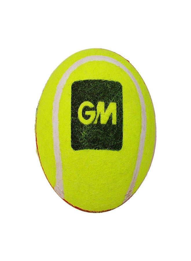 Gunn & Moore Rubber Swing King Tennis Cricket Ball (Red/Yellow) - Image 1