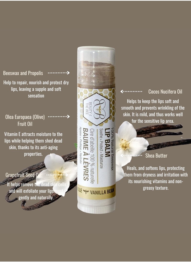beauty and the bee Lip Balm Vanilla Bean Beeswax Lip Balm (5 ml) – Natural Beeswax Lip Balm for Extra Protection and Moisture, Ideal for Dry, Chapped Lips in Cold, Windy, and Dry Weather Conditions  - Image 2