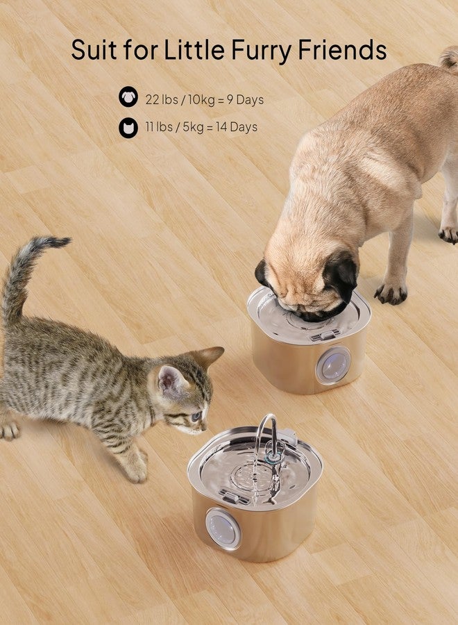 PEKTACO Cat Water Fountain, Pet Water Fountain for Cats/Dogs Indoor, Stainless Steel Cat Drinking Fountains with Water Level Window and 3 Filters + 3 Sponges(3.2L/108oz) - Image 4