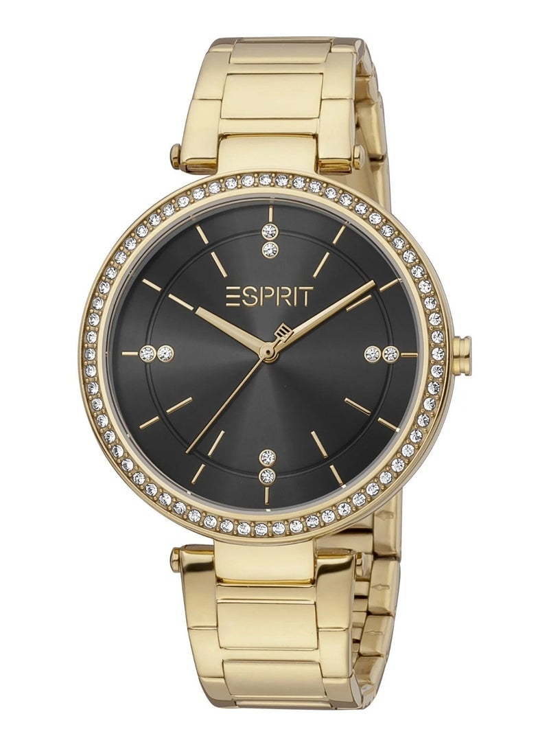 Esprit Stainless Steel Analog Women's Watch ES1L310M0065