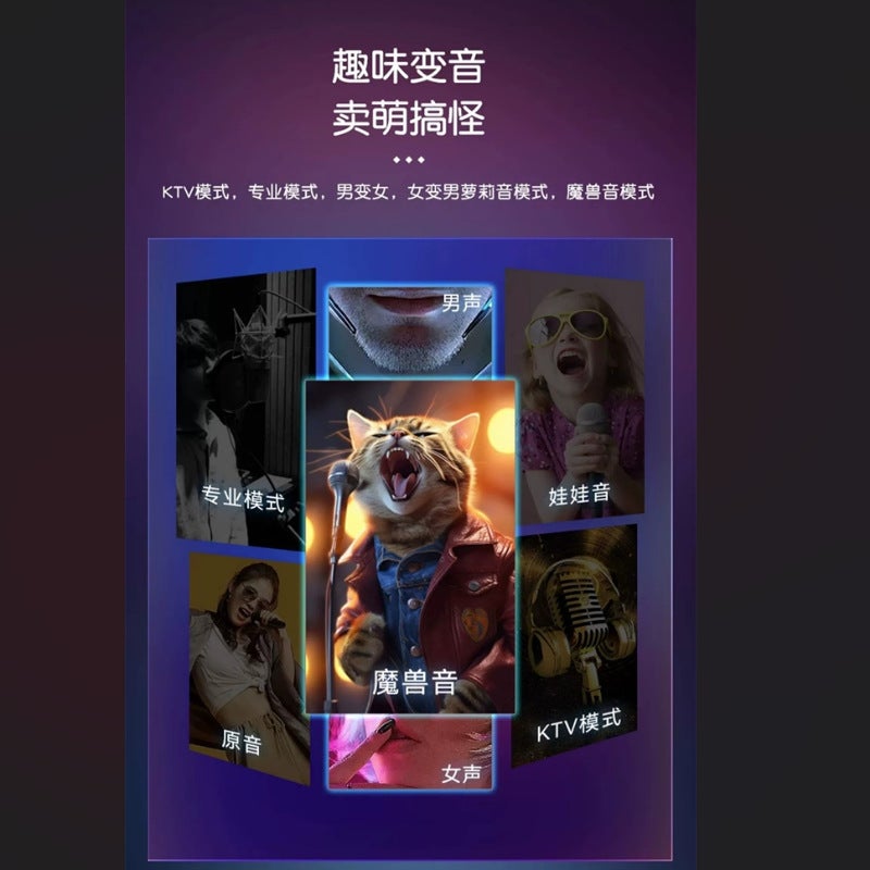 Tarantula K11 Bluetooth Speaker Wireless Audio Microphone Microphone Outdoor Karaoke Singing Small Family Ktv Portable - Image 5