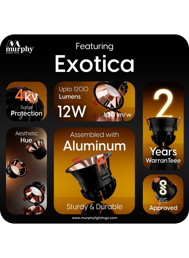 Murphy 12W Black Body Rose Gold Finish COB Spot Down Light : Warm White, Pack of 5 - Image 3