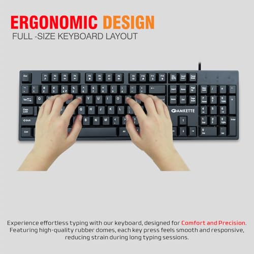 Amkette Lexus Neo Keyboard for Laptops, PCs, and USB-Compatible Devices | UV-Coated, Long-Lasting, Anti-Fade Keys | Spill-Resistant Design | Multimedia Keys | Comfortable Typing (Black) - Image 2