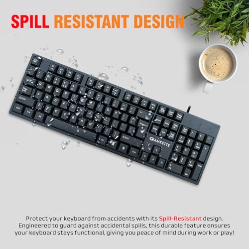 Amkette Lexus Neo Keyboard for Laptops, PCs, and USB-Compatible Devices | UV-Coated, Long-Lasting, Anti-Fade Keys | Spill-Resistant Design | Multimedia Keys | Comfortable Typing (Black) - Image 5