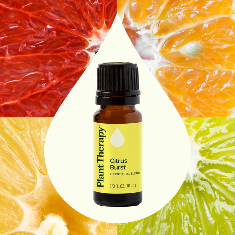 Plant Therapy Citrus Burst Synergy Essential Oil Blend 10 mL (1/3 oz) 100% Pure, Undiluted, Therapeutic Grade - Image 3