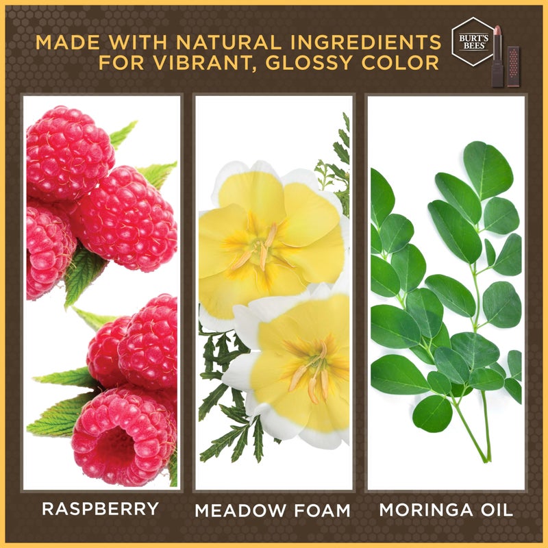 Burt's Bees 100% Natural Glossy Lipstick,Rose Falls - 1 Tube - Image 3