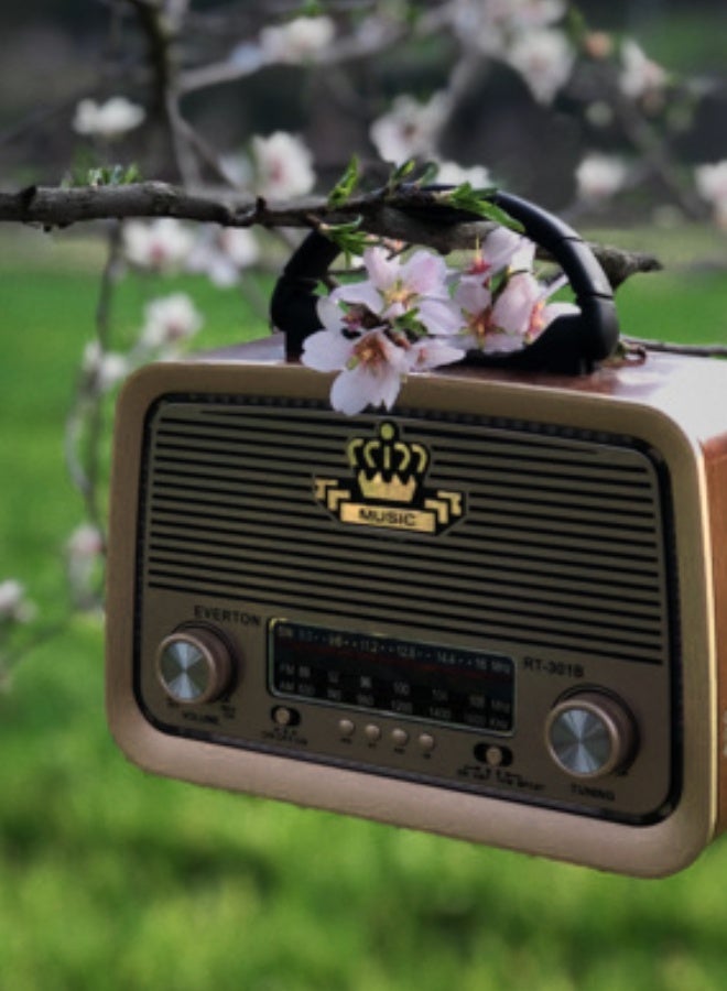 Vintage-Style Multi-Function Radio - Image 5