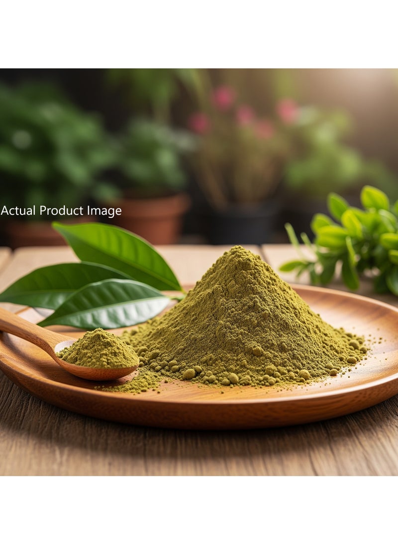 مملكة الإكسسوارات مسحوق الحناء (٥٠ غرامًا) - طبيعي ١٠٠٪ | مناسب لجميع أنواع الشعر | يمنح لونًا غنيًا ويرطب الشعر | يعزز نمو الشعر ويهدئ تهيج فروة الرأس - Image 4