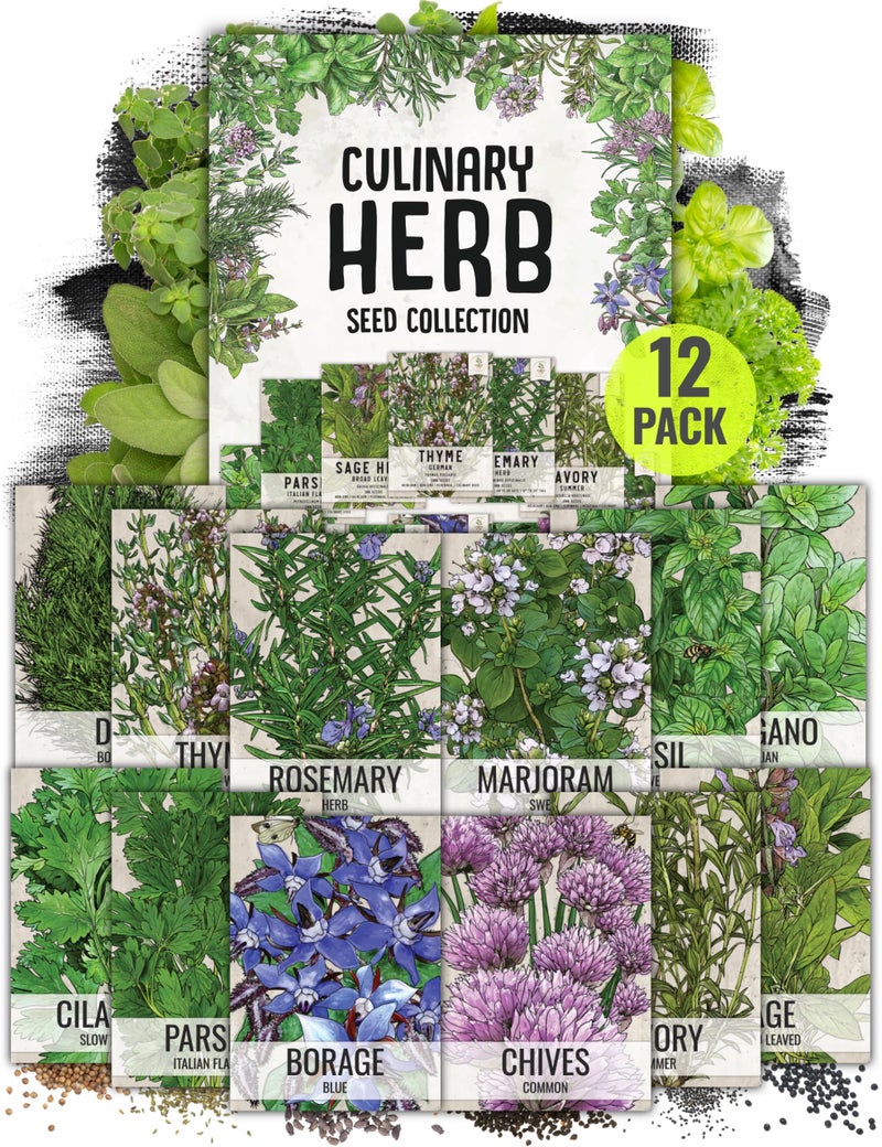 Seed Needs Herb Seeds Variety Pack Culinary Herb Collection (12 Individual Packets for Planting Indoors or Outdoors) Grow Your Own Herb Garden - Heirloom, Non-GMO - Image 1