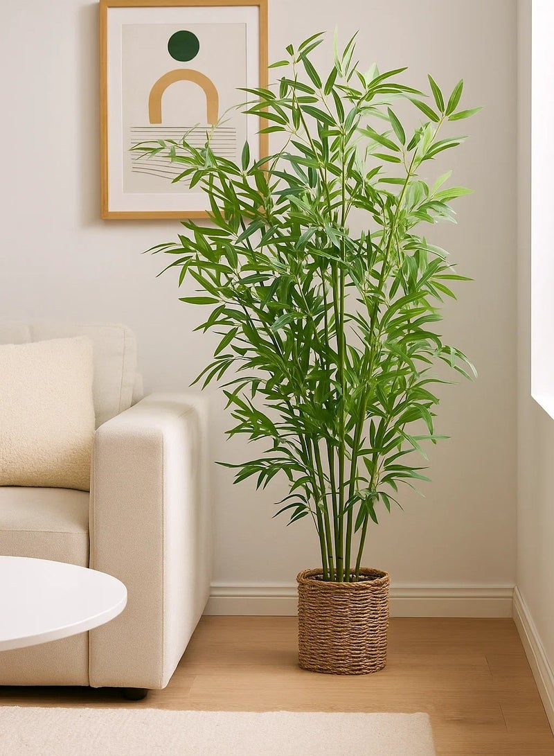 لوفت ارتيف،وعاء خيزران،L45XP45XH100CMS،أخضر-198205 - Image 1