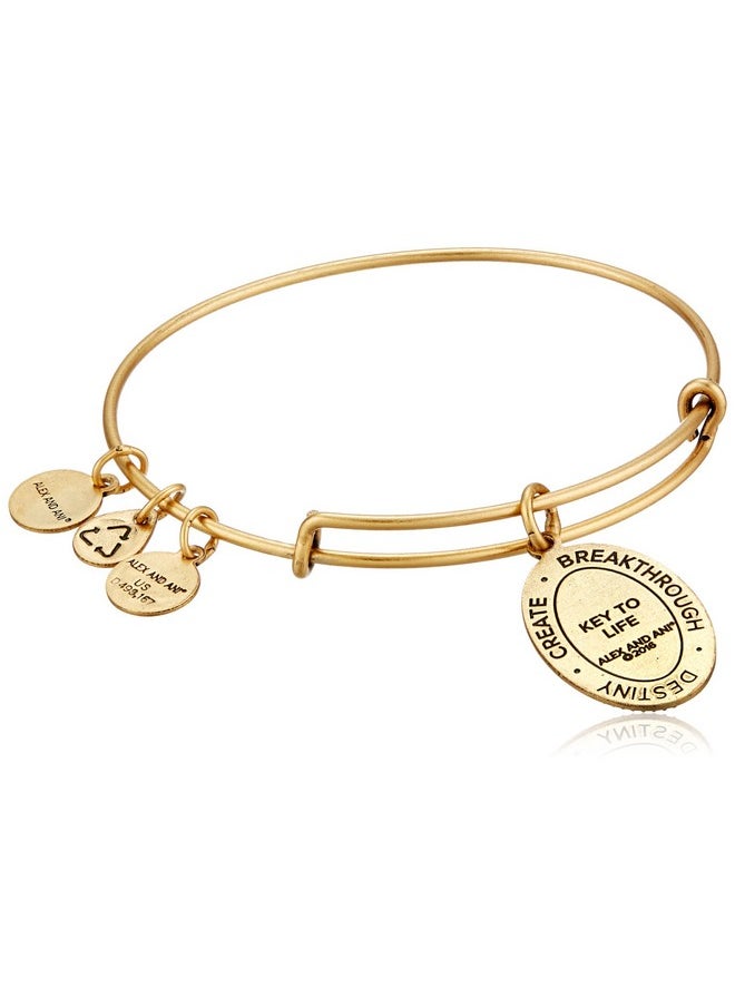ALEX AND ANI Key To Life Expandable Rafaelian Gold Bangle Bracelet  - Image 2