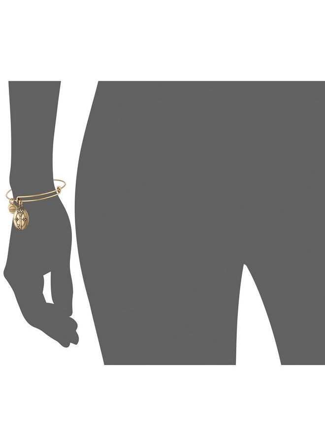 ALEX AND ANI Key To Life Expandable Rafaelian Gold Bangle Bracelet  - Image 3
