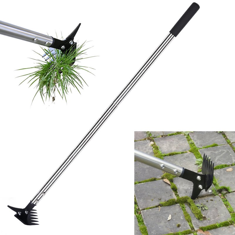 BARAYSTUS Weed Puller 61" Adjustable Long Handle, 2-in-1 Weed Rake & Crack Weeder with Detachable Head, Stainless Steel Weeding Tool for Lawn, Yard, Garden & Sidewalk Cracks, Weed Remover - Image 1