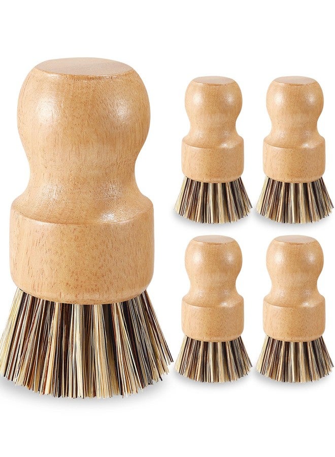 ZJoey 5 Pcs Bamboo Wood Dish Brush Set Handheld Bamboo Wok Brush Scrubber for Dishes Pans Pots Fruit and Veggie Washing(Style D) - Image 1