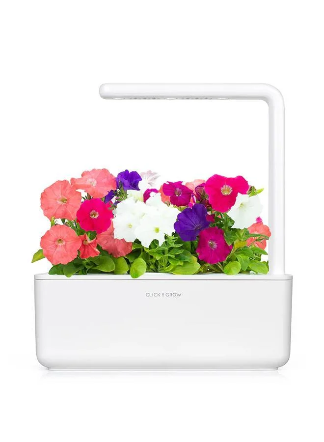 Click & Grow Click & Grow Plant Pods Petunia