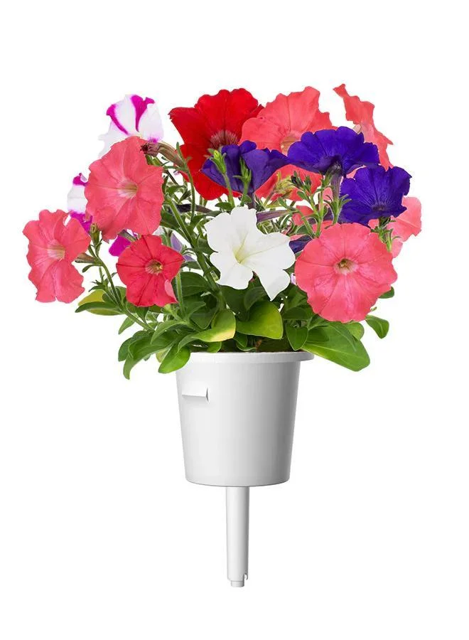 Click & Grow Click & Grow Plant Pods Petunia