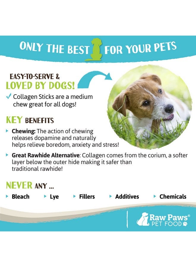 Raw Paws Beef Collagen Sticks for Dogs, 6 inch, 10-ct - Packed in USA - Natural Collagen for Dogs - Dog Chews for Aggressive Chewers & Large Dogs - Collagen Bones for Dogs, Dog Collagen Chews for Dogs - Image 5