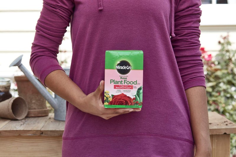 Miracle-Gro سماد نبات الورد القابل للذوبان في الماء من ميراكل-غرو 1.5 رطل، عبوة 2 - Image 5