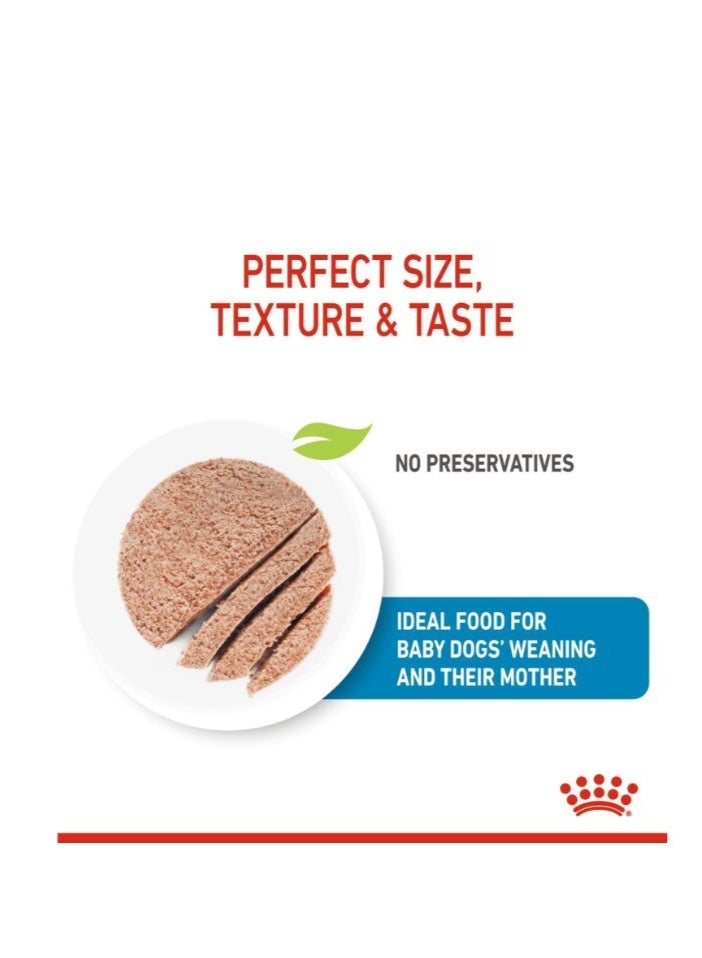 رويال كانين طعام الكلاب الرطب رويال كانين كانين هيلث نيوتريشن ستارتر موس - 6 عبوات × 195 جم - Image 2