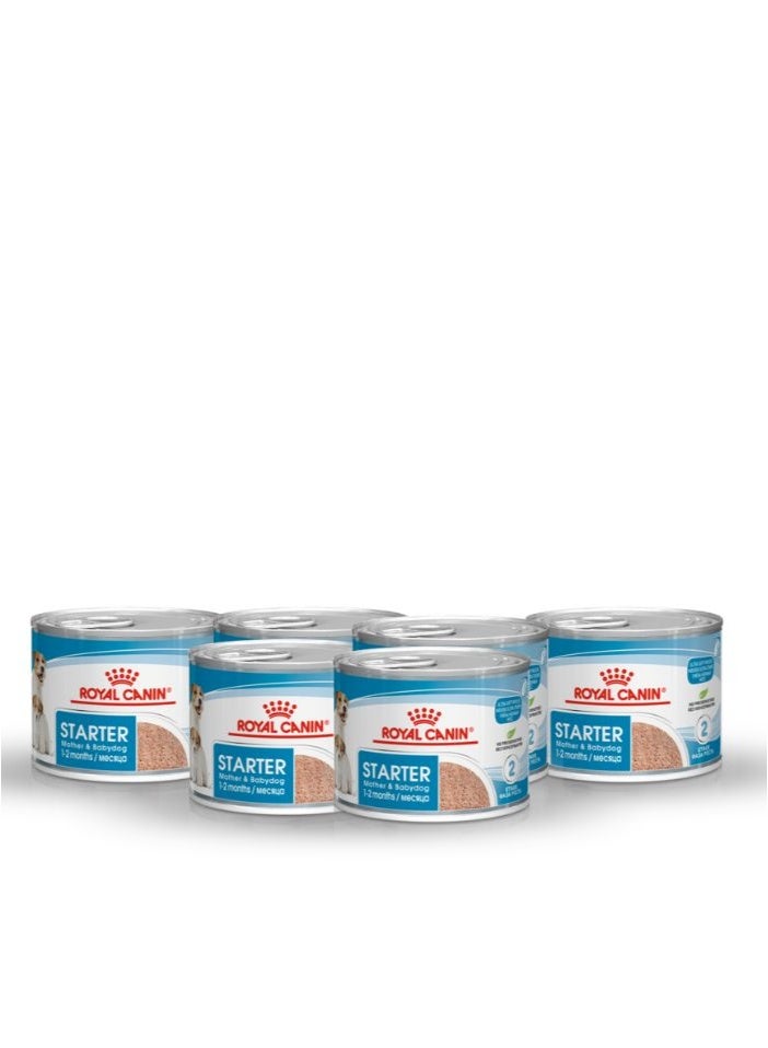 رويال كانين طعام الكلاب الرطب رويال كانين كانين هيلث نيوتريشن ستارتر موس - 6 عبوات × 195 جم - Image 1