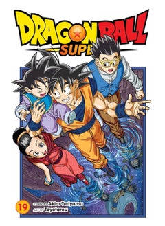 Dragon Ball Super, Vol. 19 - pzsku/Z132B5C5791DB98867078Z/45/1741189394/bcd62920-6e77-4ee0-944a-77b7711b5f51