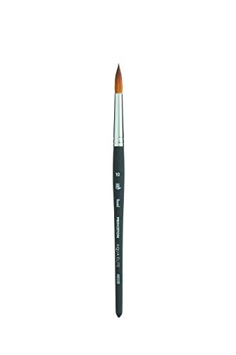 Princeton Aqua Elite Paintbrush, Size 10, Matte Black - Image 1