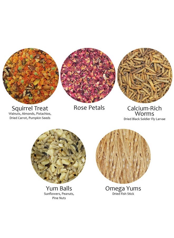 EXOTIC NUTRITION Squirrel Treat Bundle - Natural Healthy Assortment - Fruits, Veggies, Nuts, & Chews - Flying Squirrels, Ground Squirrels, Tree Squirrels, Chipmunks, Groundhogs, Prairie Dogs & Other Rodents  - Image 2