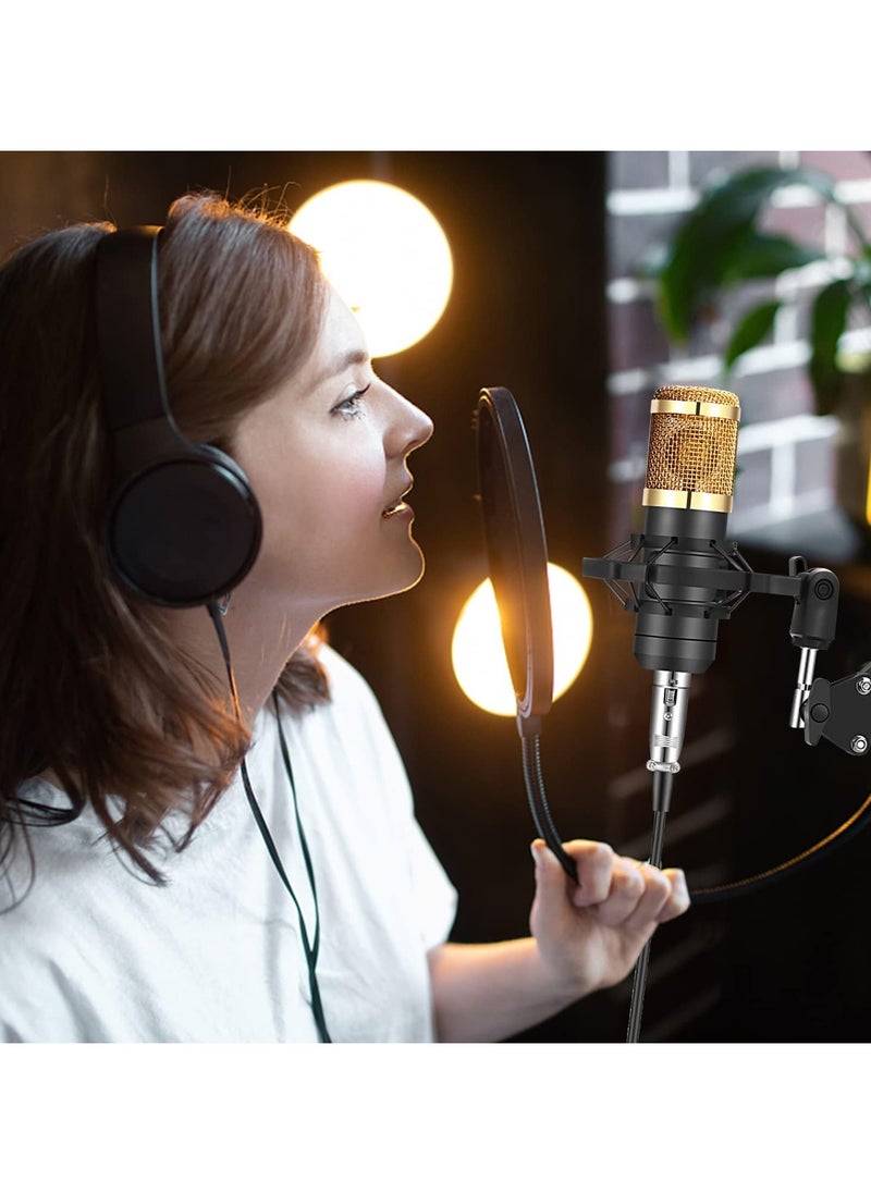XiuWoo - Podcast Equipment Bundle, Audio Interface with Voice Changer and Condenser Microphone, Recording Studio Package Perfect for Recording, Broadcasting, Live Streaming, YouTube, TikTok, Gloden - Image 1
