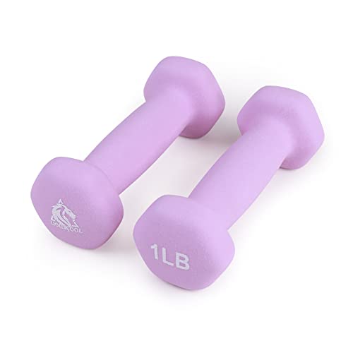 LIONSCOOL Neoprene Coated Dumbbell Weights (Lavender 1lb Pair) - Image 1