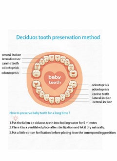 Tooth Box, Personality Wooden Kids Keepsake Organizer for Baby Teeth and Hair Photo, Shower & Birthday Gift, Storage Memory - pzsku/Z132F87CF0A991A409F75Z/45/_/1698745911/2fbe35aa-5c97-48a5-9750-9a4e18da7909