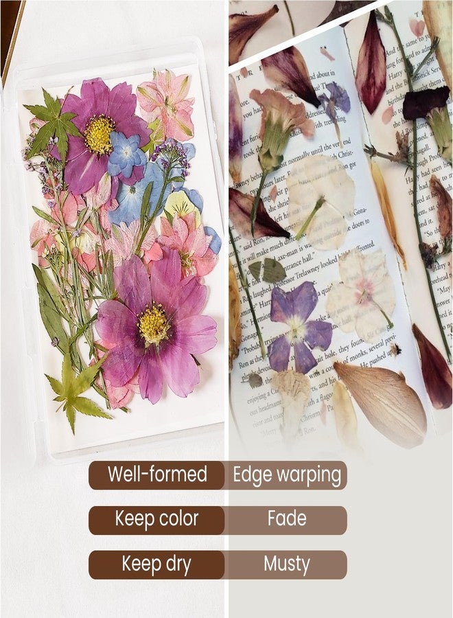 Aboofx 4PCS Dried Flower Storage Set with Blotting Paper, Ziplock Bag and Desiccant, Flower Preservation Kit - Good Seal, High Capacity to Keep Flowers Color and Dry (6.3 x 4.3 inch) - Image 3