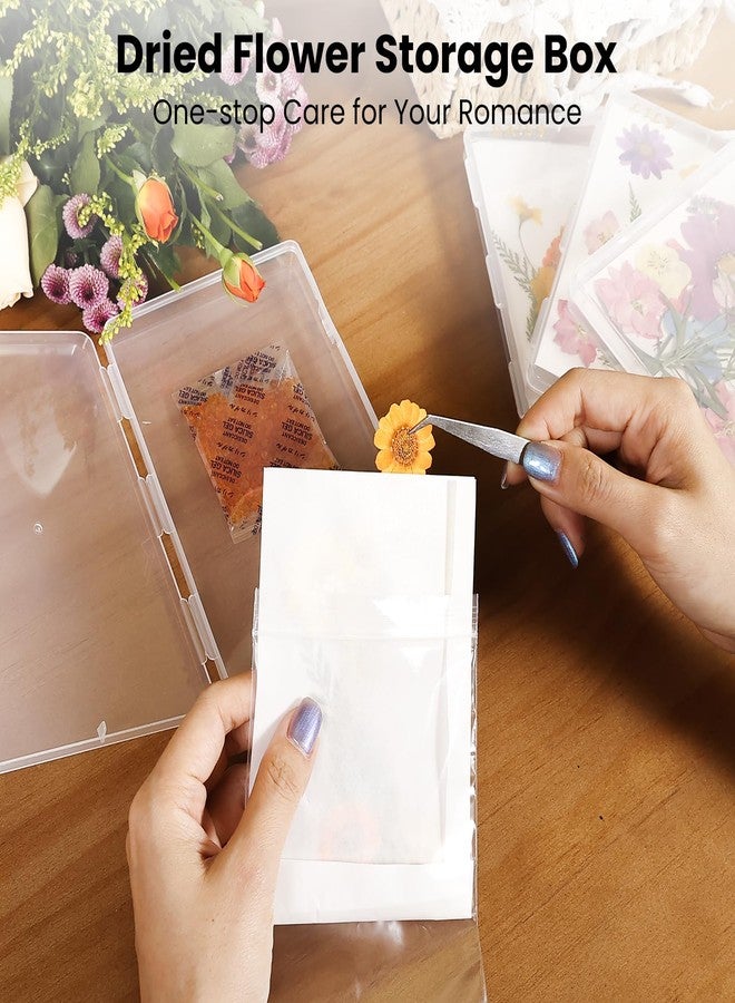 Aboofx 4PCS Dried Flower Storage Set with Blotting Paper, Ziplock Bag and Desiccant, Flower Preservation Kit - Good Seal, High Capacity to Keep Flowers Color and Dry (6.3 x 4.3 inch) - Image 2