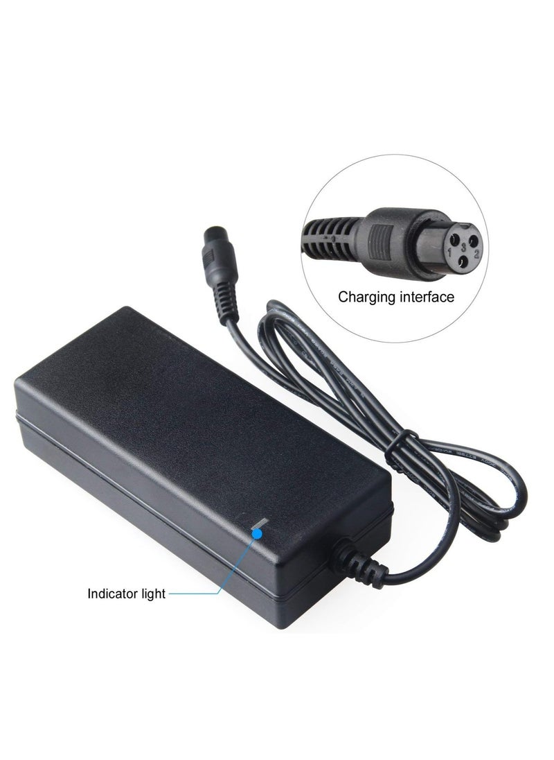 Generic - ELTERAZONE Power Charger Adapter For 2 Two Wheels Self Balancing Scooter Hoverboard - Image 1
