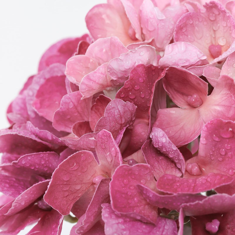 Coferset 3Pcs Large Hydrangea Artificial Flowers 24.8" Real Touch Faux Hydrangea UV&Waterproof Latex Fake Flowers with Bendable Stems &Leaves for Wedding Bouquet Centerpieces Home Party Decor(Magenta) - Image 3
