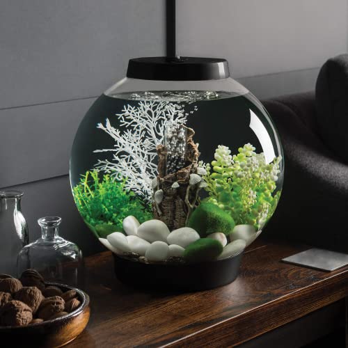 biOrb Classic 15 Acrylic 4Gallon Aquarium with MultiColor RemoteControlled LED Lights Modern Compact Tank for Tabletop or Desktop Display Black - Image 3