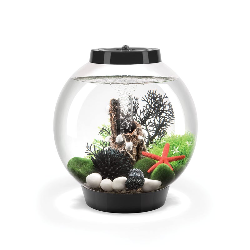 biOrb Classic 15 Acrylic 4Gallon Aquarium with MultiColor RemoteControlled LED Lights Modern Compact Tank for Tabletop or Desktop Display Black - Image 2
