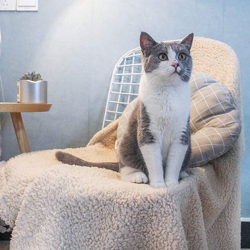 Comfortable Plush Dog and Cat Blanket Cushion Sleep Mat Size L Beige - Image 4