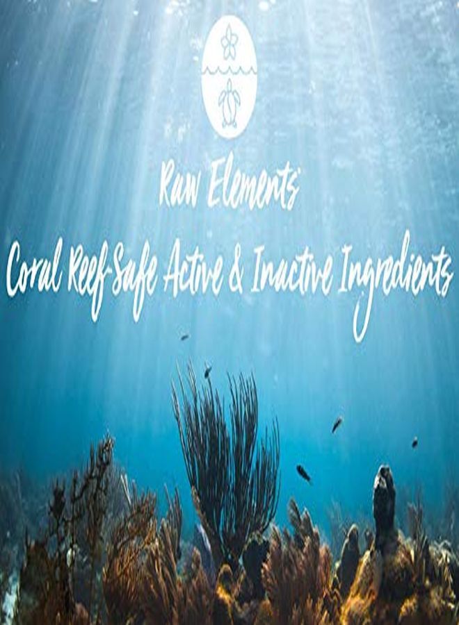 raw elements Face And Body Certified Natural Sunscreen | NonNano Zinc Oxide, 95% Organic, Water Resistant, Reef Safe, Cruelty Free, Spf 30+, All Ages Safe, Moisturizing, Reusable Tin, 3Oz - Image 3