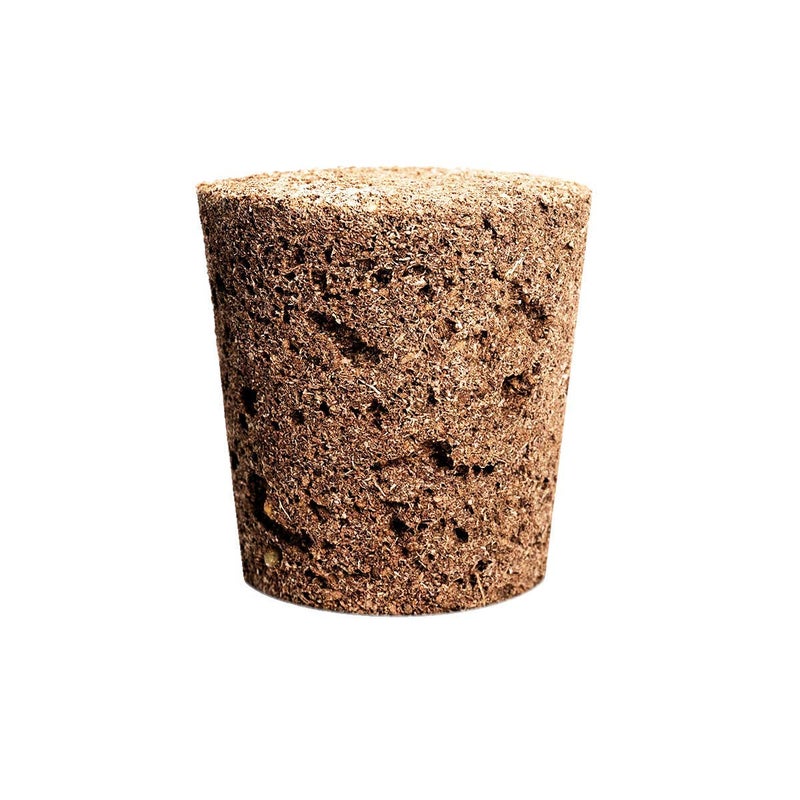 emsa Click and Grow Smart Garden Peppermint Plant Pods, 3-Pack - Image 4