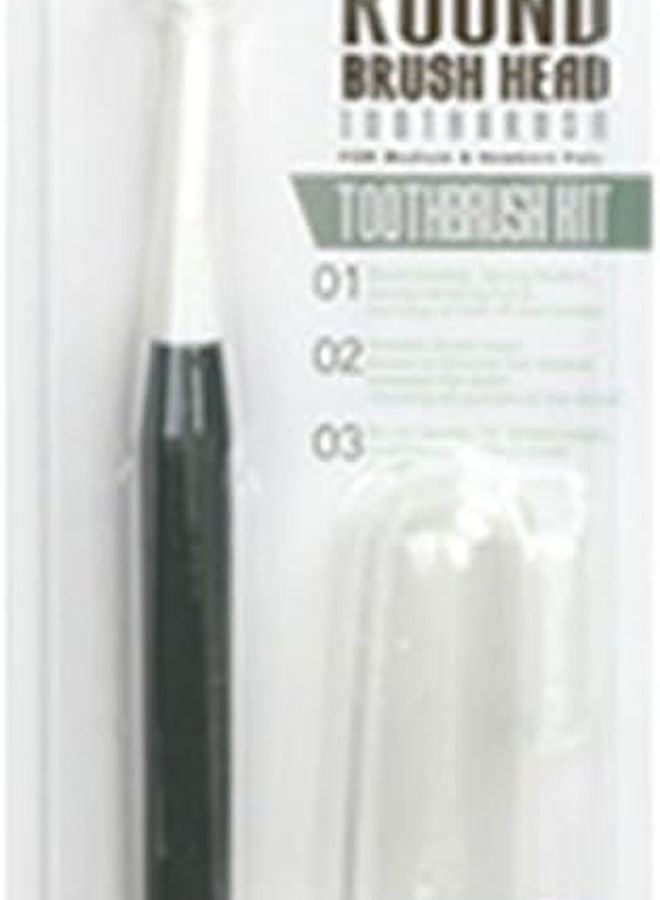 فرشاة أسنان للأصابع للحيوانات الأليفة بشعيرات ناعمة للكلاب والقطط عبوة واحدة - Image 2